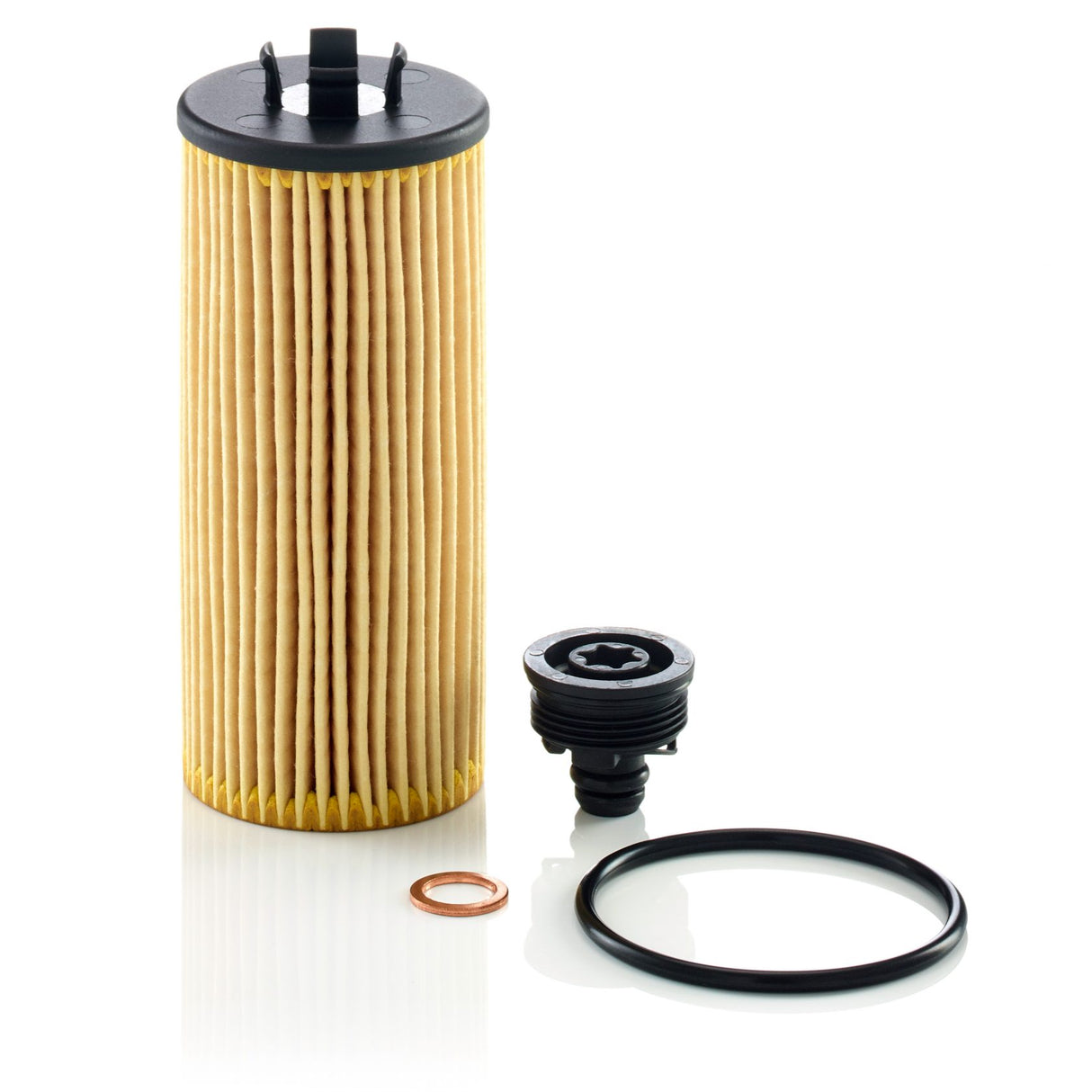 Mann Oil Filter Cartridge Insert Kit - HU 6015 z 11428570590 Auto Supply Master